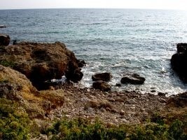 Giano Group Immobiliare